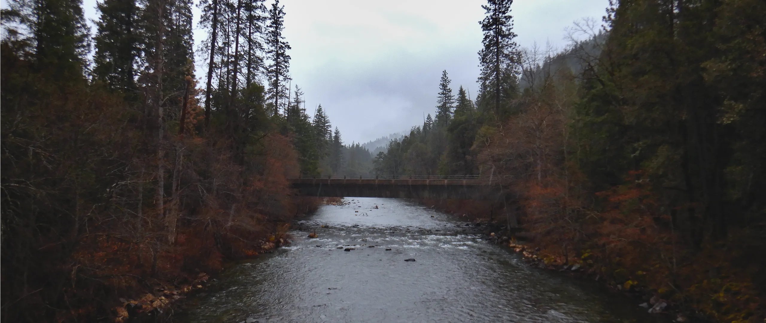 Northern California river on a cold, rainy spring day