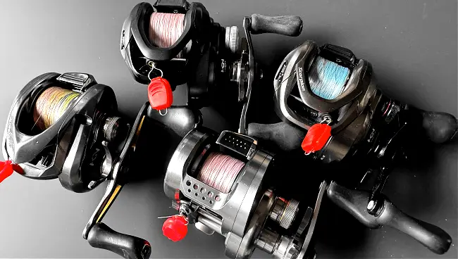 BFS Reels