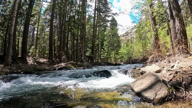 River in Eastern Sierra